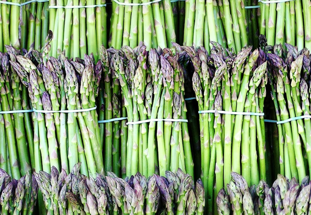 Asparagus Festival